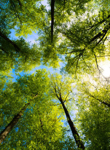 billyh99WWWWWWWWWWWWWWWW My Photos photo 11836742