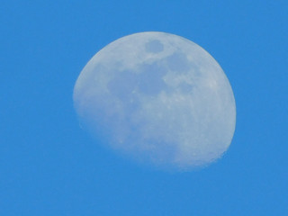 Moon ^:^