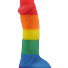 rainbow dildo