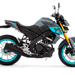 my motorcycle