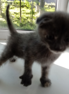 Fjdjdjsvejr My Photos photo 9398239