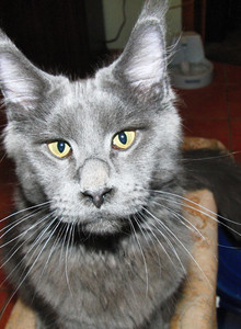 Barabazz My Photos photo 13679177