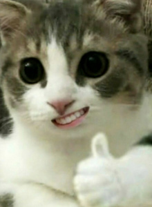 Jeka29-1 My Photos photo 9474005