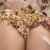 Sexyllexy