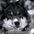 Egor--2