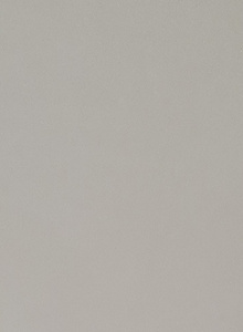 Taikytsi . photo 9605897