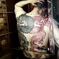 DietolOG13