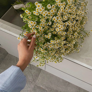 ❀Flirty bouquet❀