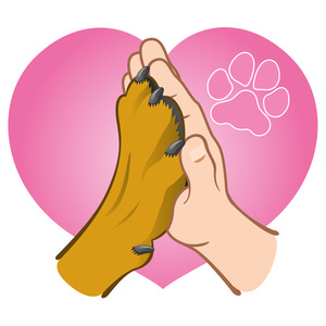 Donation to shelters ♡