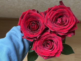 Дарите женщинам цветы без повода 😍