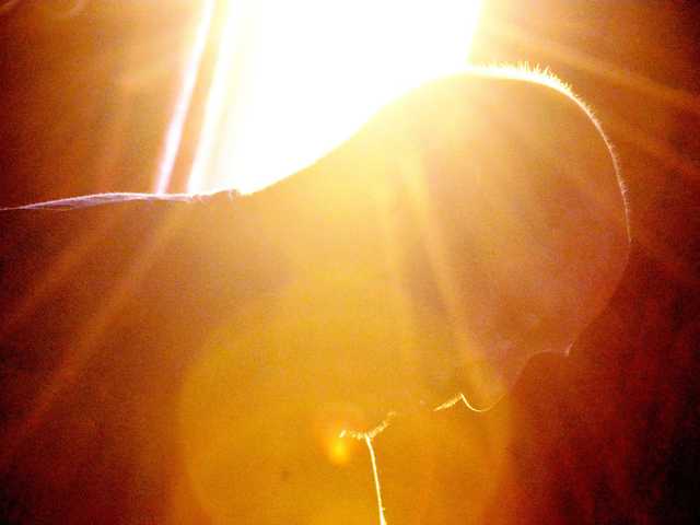 Charming__Man
