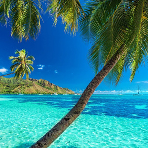 sea