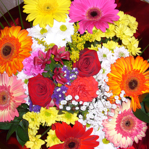 Flowers