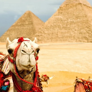 Holidays in Egypt