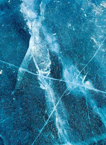 Shy_Buzz3rds My Photos photo 12732713