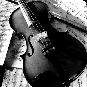 Black violin