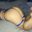 BEDbMA13