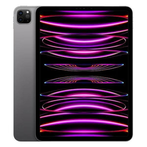 Ipad Pro 12.9 Space Grey