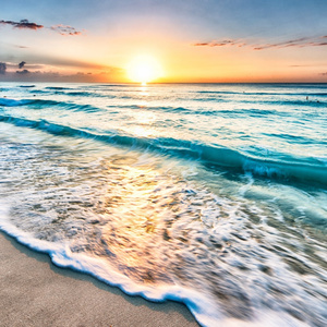 Sea