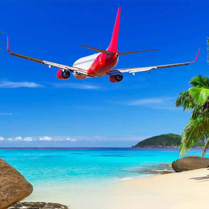 flights or tourist plans