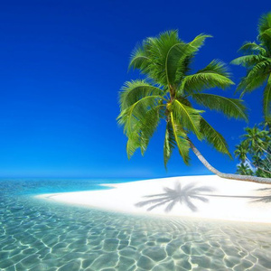 vacaciones en la playa