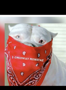 Naboe My Photos photo 10173094