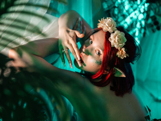 My Photos