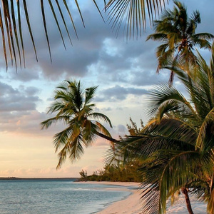 Vacation trips