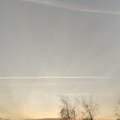 Ranevrus