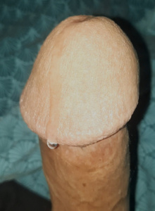 Chris-120 My Photos photo 11654109