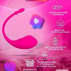 Lovense vibrator