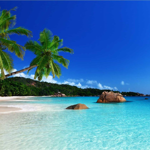 Jamaica