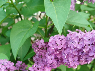 My Photos