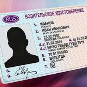 Driver's license