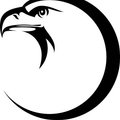 berkutbird