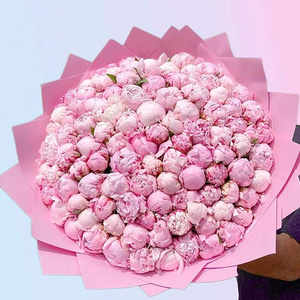 Peonies