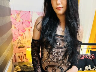 I'm A Live Webcam Delectable Trans, My BongaCams Name Is KateGrayelisa, I Am A Brunette
