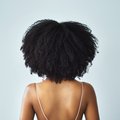 Hotebony01