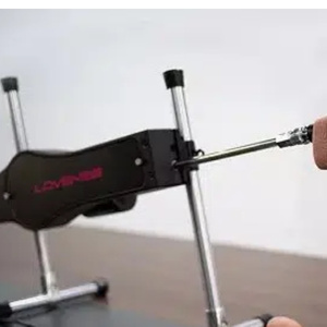 Lovense sex machine