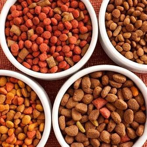 Food for my pets //// Food for my pets