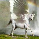 unicorn