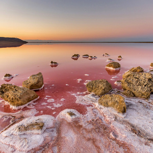hit the pink beach