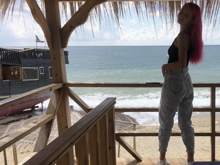 the combined solyanka