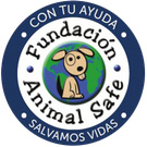 Support abandoned dogs foundation