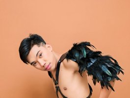 Urpinoyhotbrix