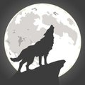 Wolfy_x