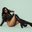 Camilafoox