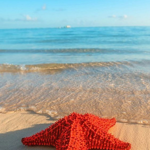 A trip to the sea