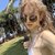 Alexandra_Demore
