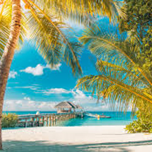 Vacations